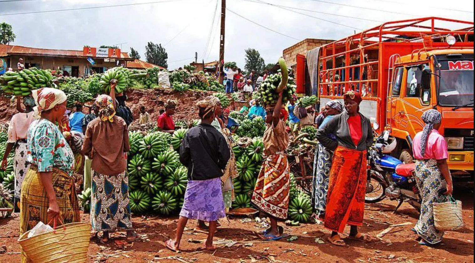 Tanzania yakumiriye ibicuruzwa byose bikomoka ku buhinzi bituruka muri Afurika y