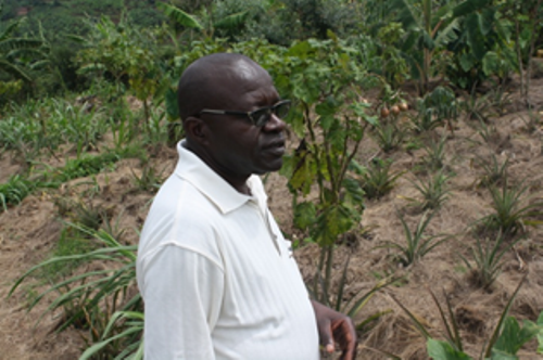 Nshunguyinka akomeje guteza imbere ubuhinzi bw