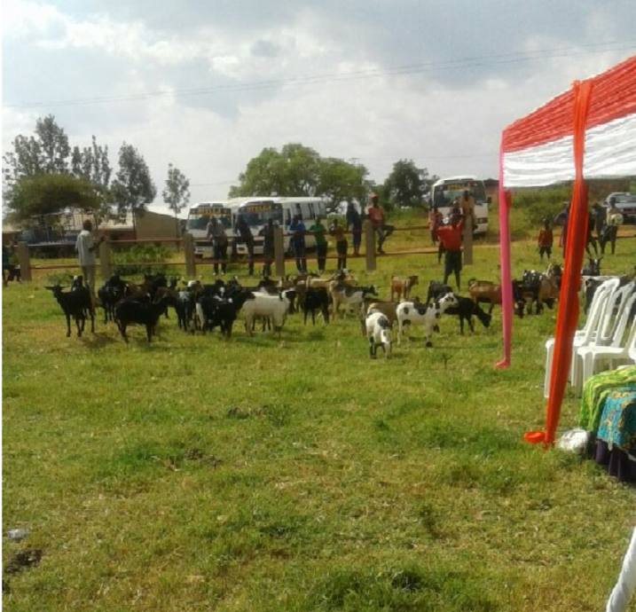 Aba bafana boroje ihene 52 ku miryango 25 yarokotse Jenoside yakorewe Abatutsi itishoboye