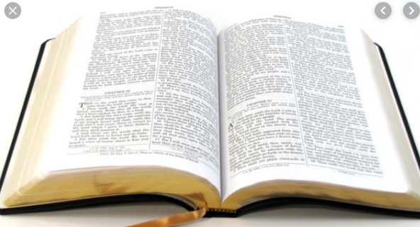 Bibiliya ivuga kuri pasiporo