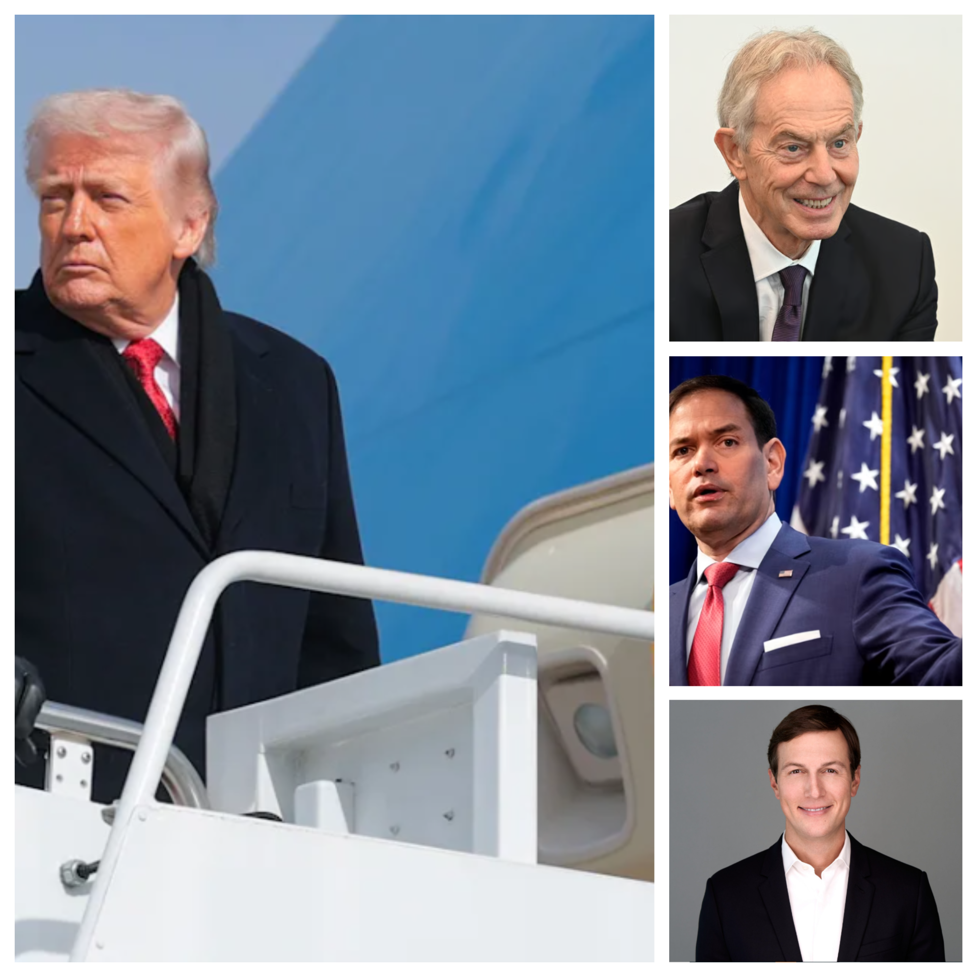 Trump n