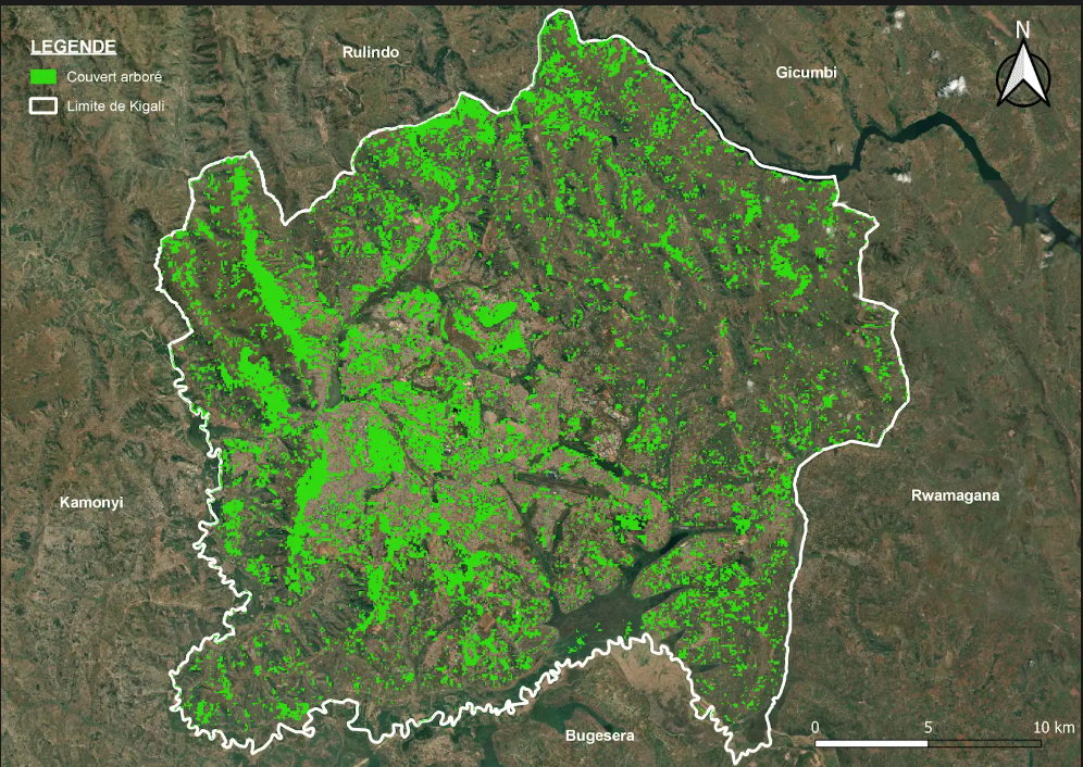 Ibara ry'icyatsi ryerekana amashyamba yari asigaye mu 2020, asa n'ayamazweho n'ibikorwa bya muntu