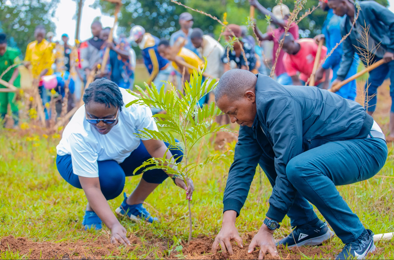 Umuyobozi Nshingwabikorwa w