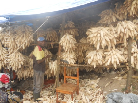 Abakoresheje ifumbire neza nibo basarura byinshi.