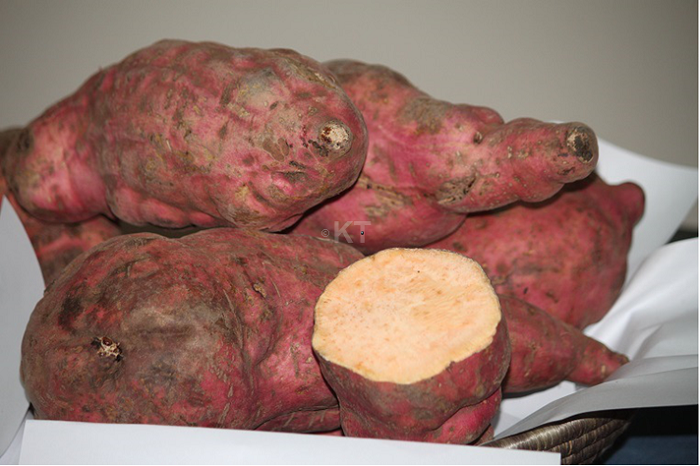 Ibijumba bishobora kubikika amezi atandatu