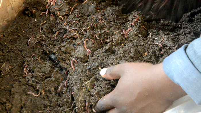 Akora ifumbire yifashishije iminyorogoto