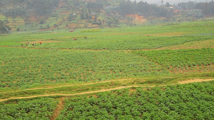 Ik kibaya kiri ku buso bwa Ha 79