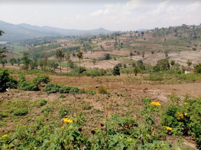Hatangiye gutangwa icyangombwa-koranabuhanga cy