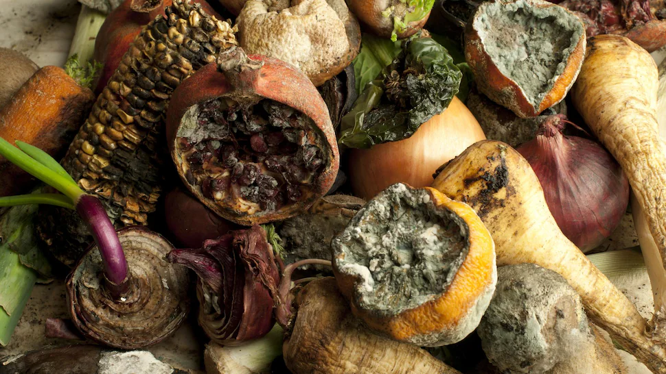 U Rwanda rukomeje guhangana n'ikibazo cy'ibiribwa byangirika